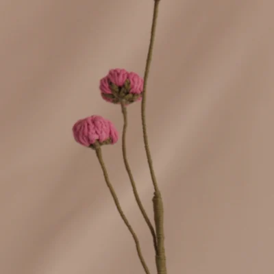 Brotes - Rosados